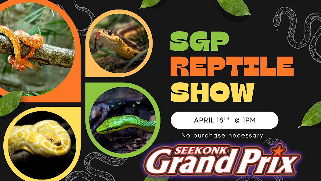 A colorful poster for the SGReptile Show, featuring snakes in round frames, bold green/orange text, a *Seekonk Grand Prix* logo, and leaf/branch accents.