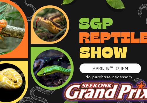 A colorful poster for the SGReptile Show, featuring snakes in round frames, bold green/orange text, a *Seekonk Grand Prix* logo, and leaf/branch accents.