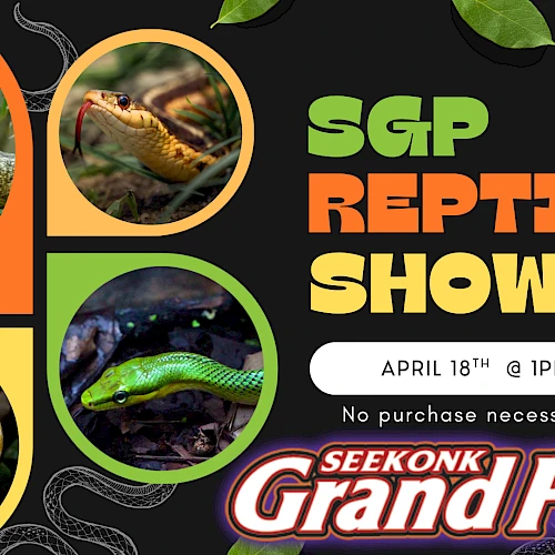 A colorful poster for the SGReptile Show, featuring snakes in round frames, bold green/orange text, a *Seekonk Grand Prix* logo, and leaf/branch accents.