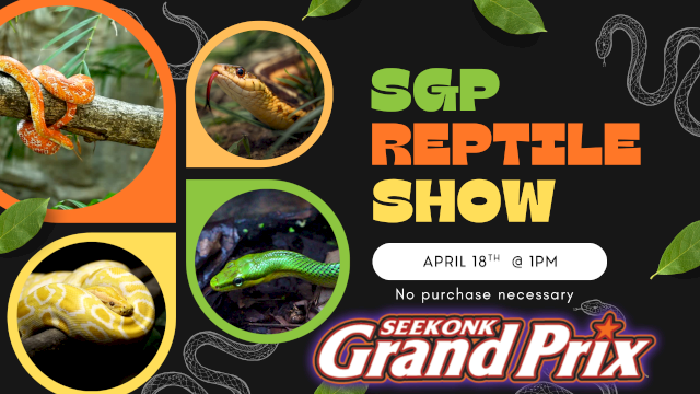 A colorful poster for the SGReptile Show, featuring snakes in round frames, bold green/orange text, a *Seekonk Grand Prix* logo, and leaf/branch accents.